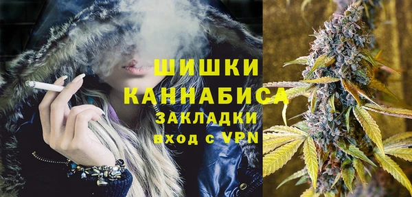 spice Вязьма