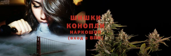 дурь Вяземский