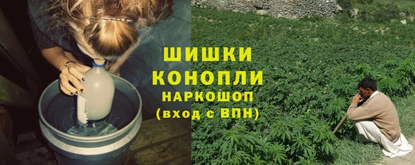 spice Вязьма