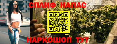 крисы Кимры