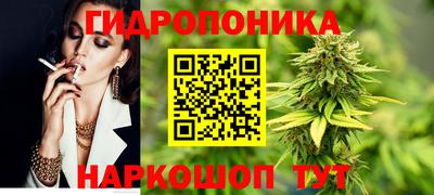 крисы Кимры