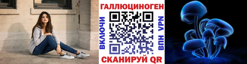Псилоцибиновые грибы Cubensis  Тихвин 