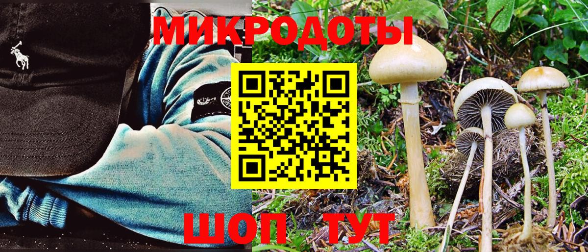 Псилоцибиновые грибы прущие грибы Тихвин