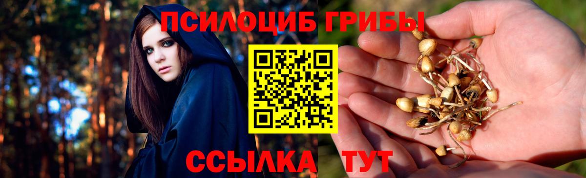 Галлюциногенные грибы Psilocybine cubensis  Вход с VPN  Галлюциногенные грибы Cubensis  Тихвин 